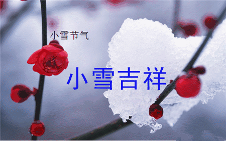 今日小雪时节，最温暖的祝福送给你，愿你生活美满，节日快乐