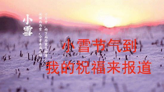 今日小雪时节，最温暖的祝福送给你，愿你生活美满，节日快乐