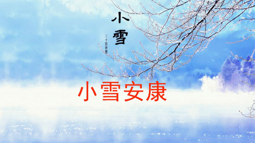 今日小雪时节，最温暖的祝福送给你，愿你生活美满，节日快乐