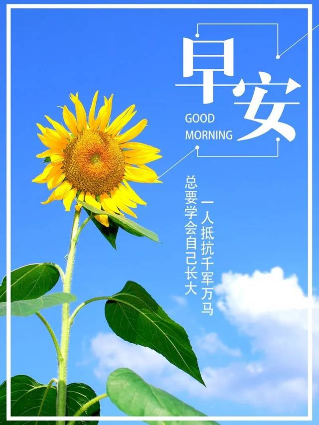 早安最短精句早上好_(早安最短精句励志)