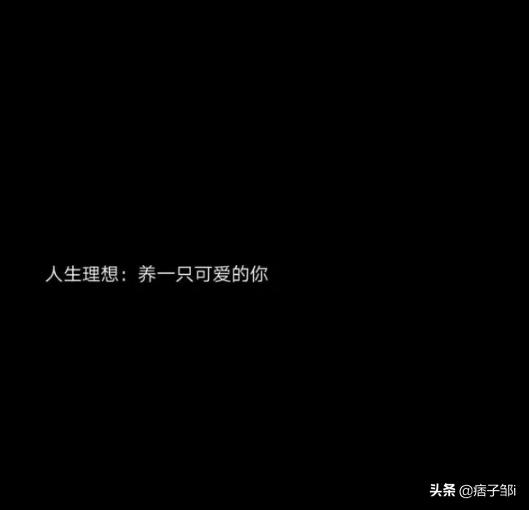 霸气短句子不超十字 霸气短句子不超十字
