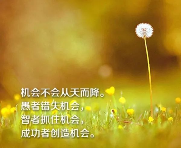 人生励志的句子和图片_(说到做到图片加句子)