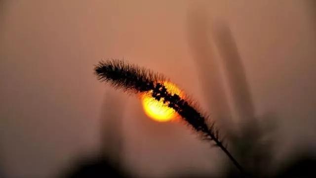 抖音很火的短句励志 抖音很火的短句励志