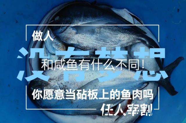 早安心语霸气的正能量句子:给生命一个微笑,用微笑面对人生
