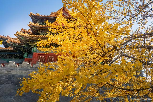 大清早发朋友圈的句子,句句励志正能量