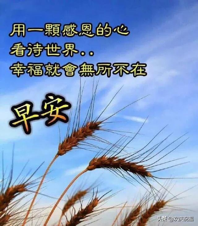 朋友圈最热门的正能量问候语图片早上好动图