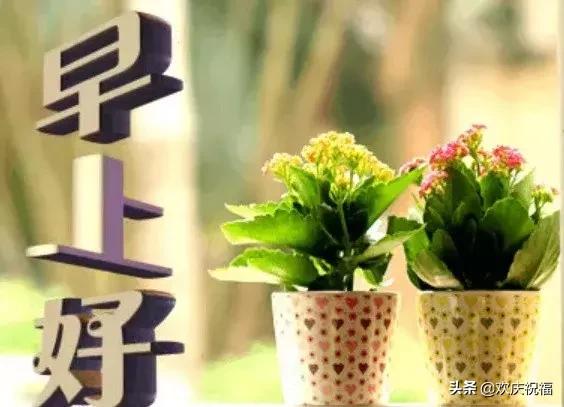 朋友圈最热门的正能量问候语图片早上好动图