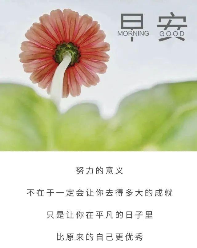 清晨发朋友圈梦想正能量的句子,心累迷茫时多看看