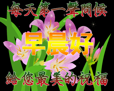 4.24,祝你工作顺利,天天开心,事事顺心,身体健康!早安