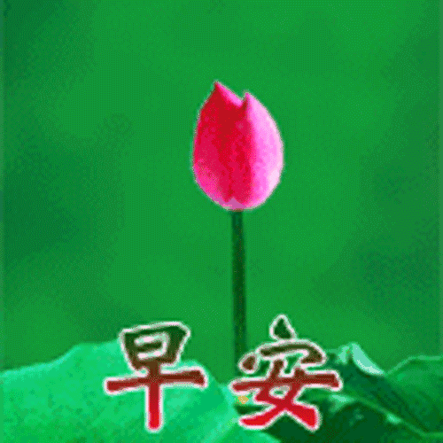 4.24,祝你工作顺利,天天开心,事事顺心,身体健康!早安