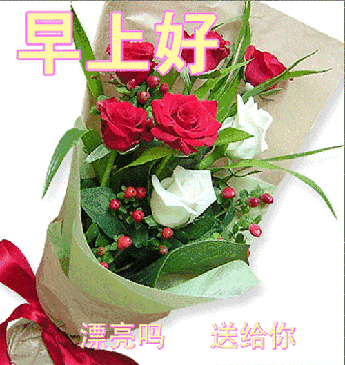4.24,祝你工作顺利,天天开心,事事顺心,身体健康!早安