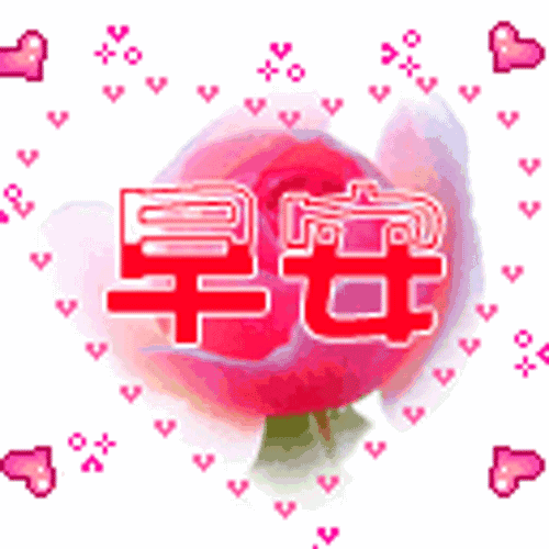 4.24,祝你工作顺利,天天开心,事事顺心,身体健康!早安
