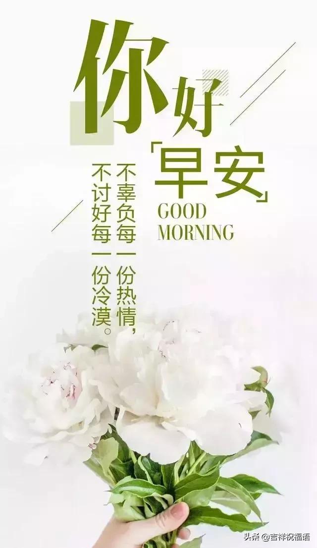 2019早安心语简单一句话配图 早安心语励志语录大全