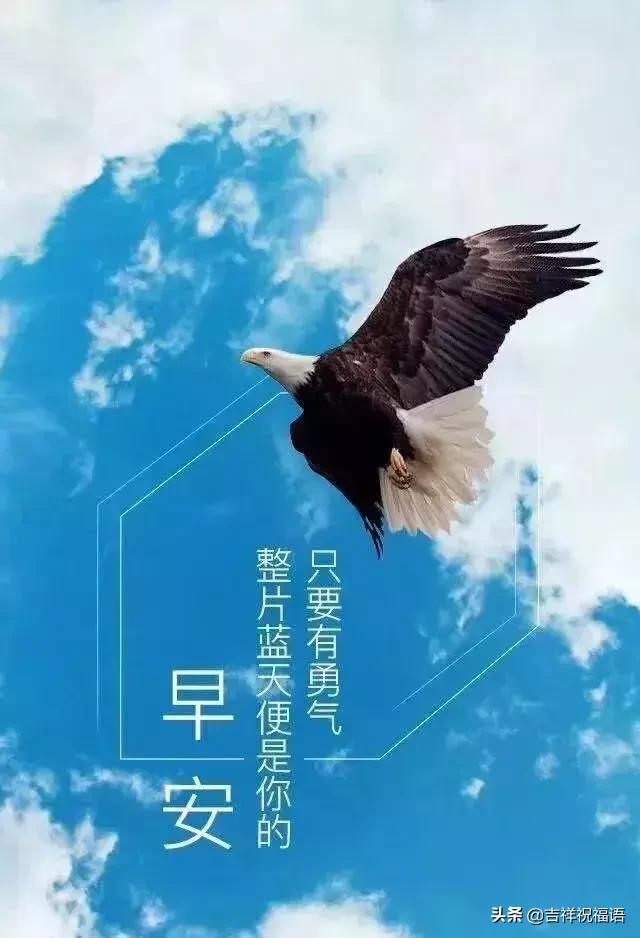 2019早安心语简单一句话配图 早安心语励志语录大全