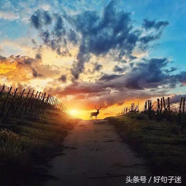 霸气伤感的说说句子 霸气伤感的说说句子
