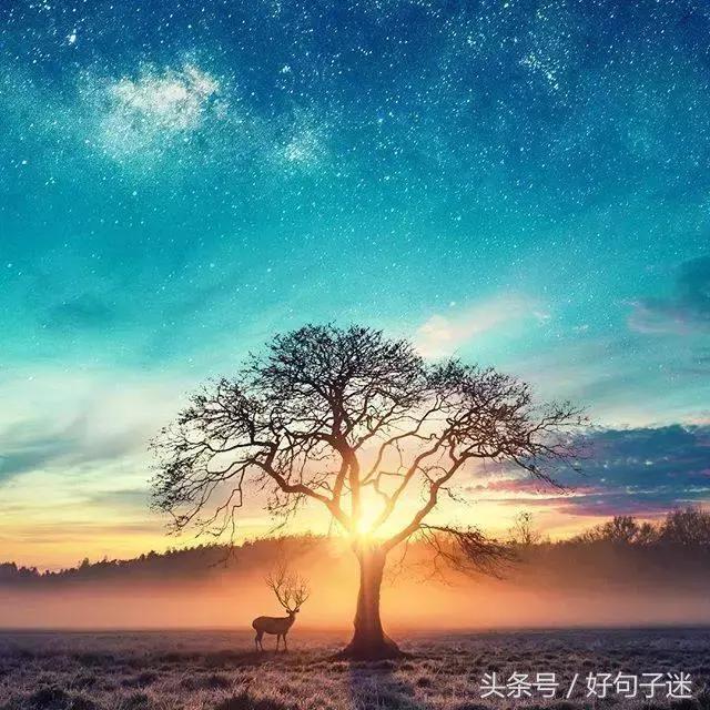 霸气伤感的说说句子 霸气伤感的说说句子