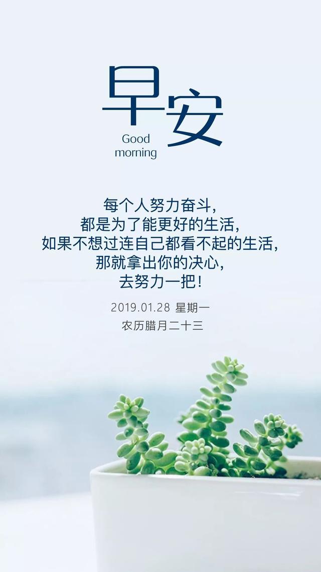 工作正能量激励语(努力奋斗的句子正能量)