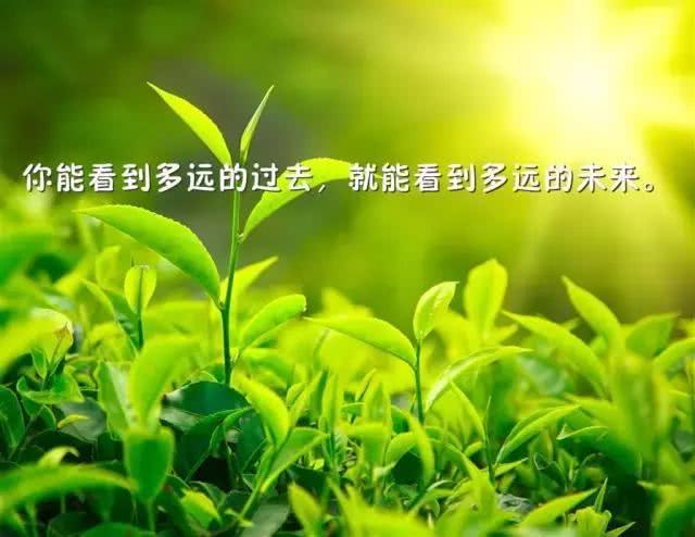 在工作上励志正能量的句子及感悟(简短正能量语录)