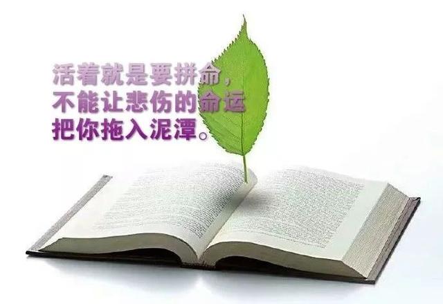 分享朋友圈最棒的一段正能量话