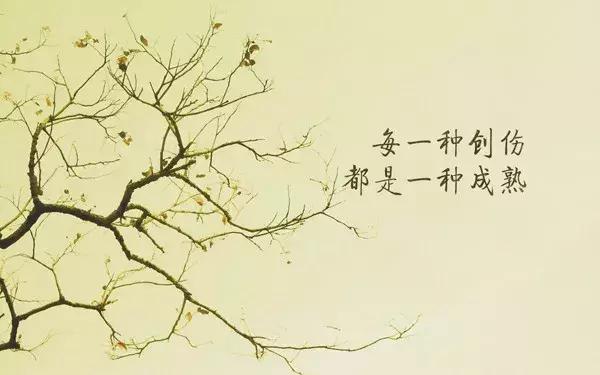早安语录正能量句子 早安心语朋友圈短句