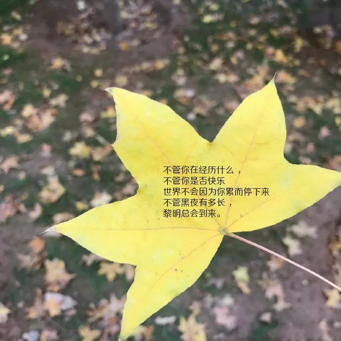 适合发朋友圈心情的句子图片短句_(一句简短的风景句子)