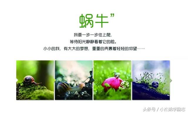 30句人生格言，句句励志正能量 值得收藏！