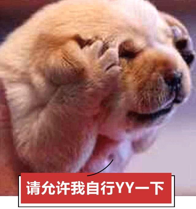 夸人帅的句子带幽默