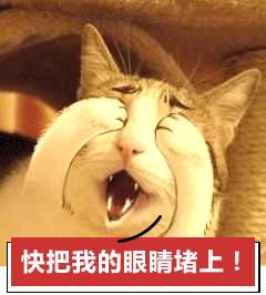 夸人帅的句子带幽默