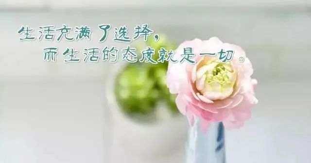 励志鼓励学生的语录(鼓励学生上进的励志语录)