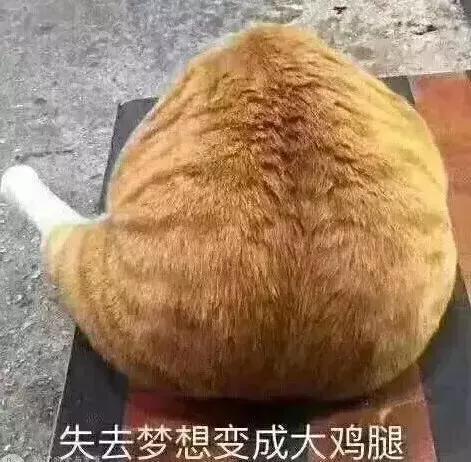 销售幽默风趣高情商的俏皮句子 销售幽默风趣高情商的俏皮句子