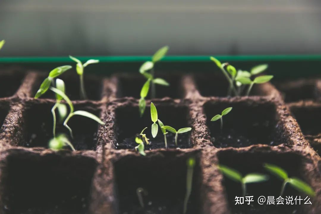每天分享一段正能量小故事(励志小故事简短)