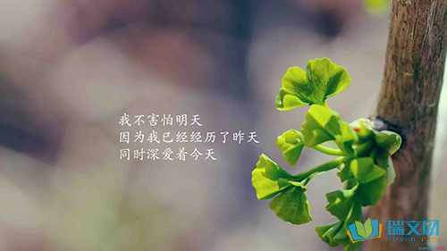 励志正能量的段落摘抄100字(激励段落100字)