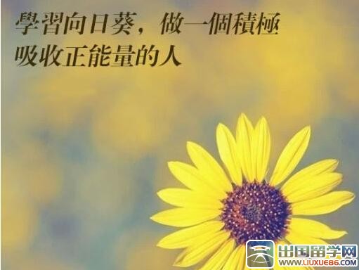 正能量又幽默的句子(正能量开心活泼的句子)