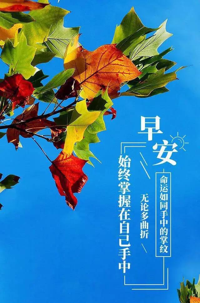 朋友圈最全最美早安图片大全 早安阳光正能量语录
