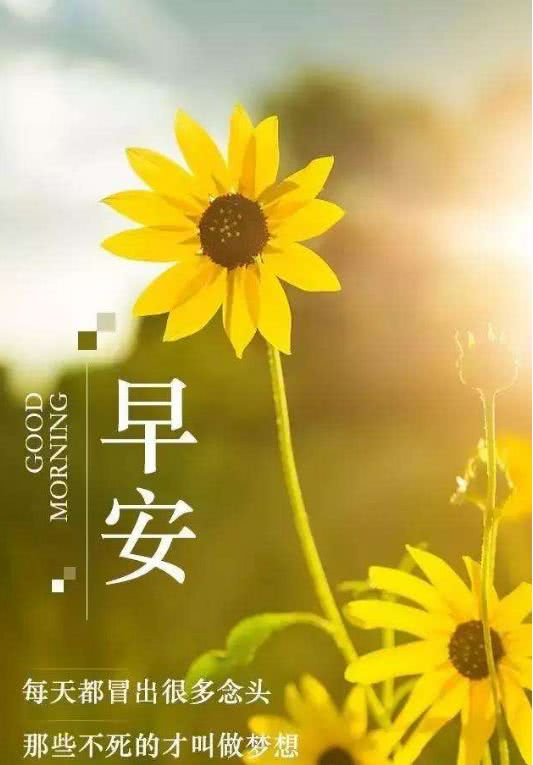 销售工作每日分享正能量一段话(销售励志语录正能量)