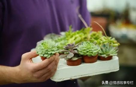 女人心态阳光的句子,句句正能量,深度好文!