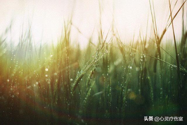 恢复单身的句子霸气