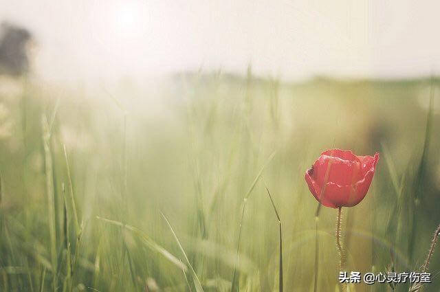 恢复单身的句子霸气
