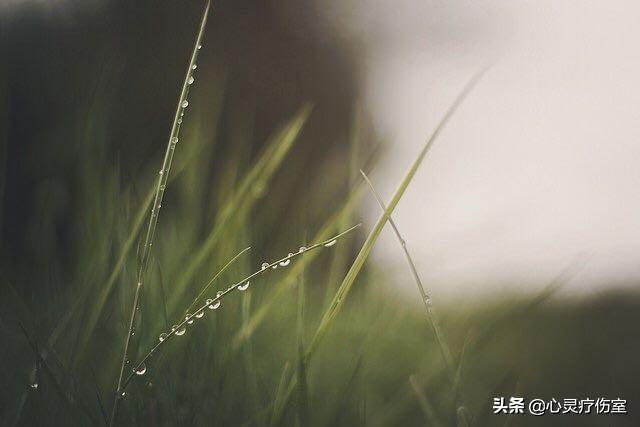 恢复单身的句子霸气