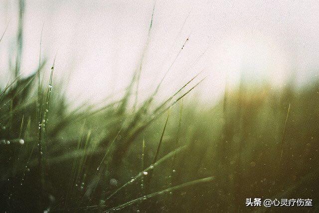 恢复单身的句子霸气