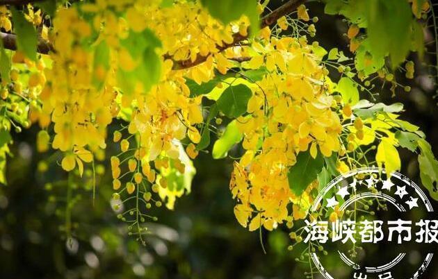 七月最美短句 关于七月的唯美句子 描写七月的优美诗句