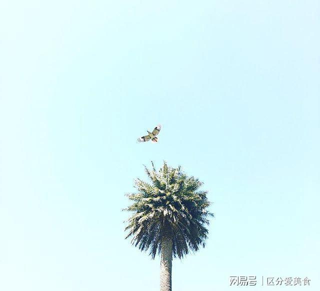 工作销售正能量的句子(服务顾客的正能量句子)