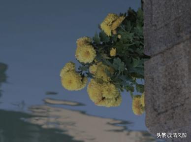 形容生病的幽默句子说说心情 形容生病的幽默句子说说心情