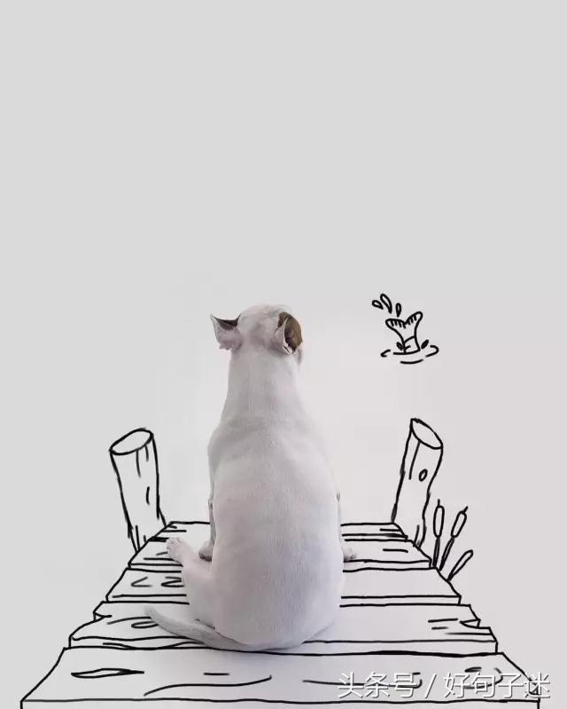祝生日的句子搞笑幽默 祝生日的句子搞笑幽默