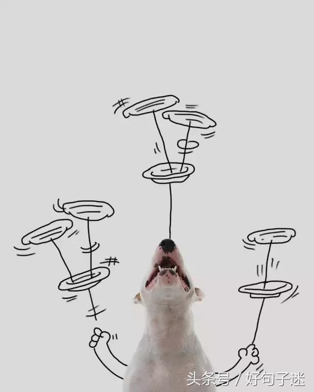 祝生日的句子搞笑幽默 祝生日的句子搞笑幽默