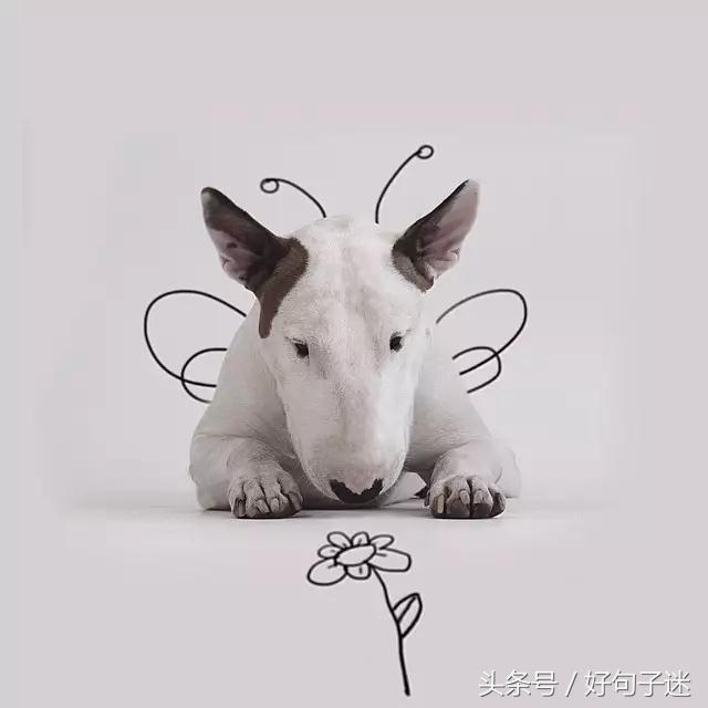 祝生日的句子搞笑幽默 祝生日的句子搞笑幽默