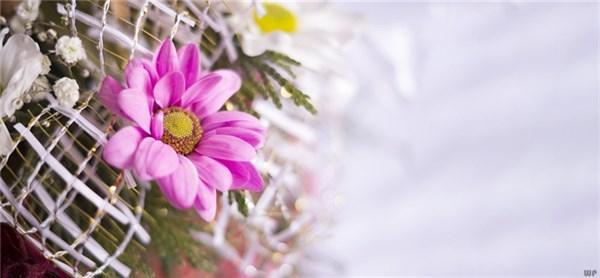 生活中非常幽默风趣的句子 生活中非常幽默风趣的句子