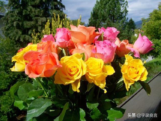 自信女人霸气的句子说说心情 自信女人霸气的句子说说心情