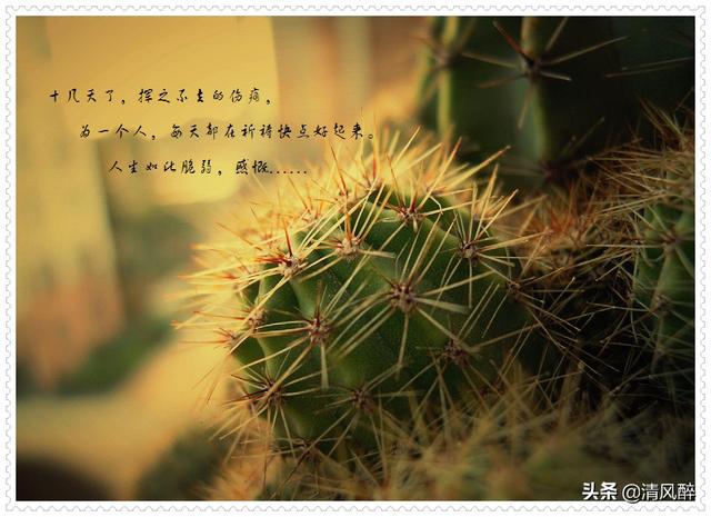 霸气句子简短励志短句 霸气句子简短励志短句
