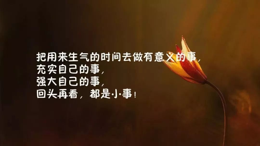 关于正能量的句子及评价(用心付出的句子正能量)
